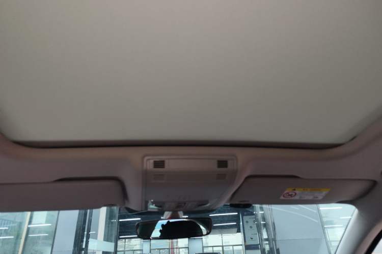 Used Volkswagen Magotan 2020 330TSI DSG Luxury Edition Headliner