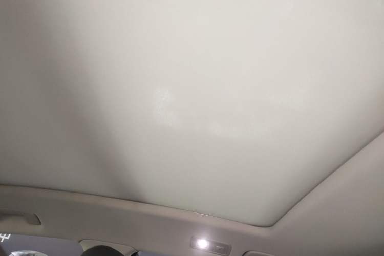Used Volkswagen Magotan 2020 330TSI DSG Luxury Edition Headliner