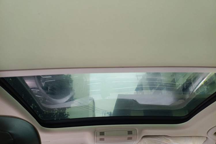 Used Volkswagen Magotan 2020 330TSI DSG Luxury Edition Headliner