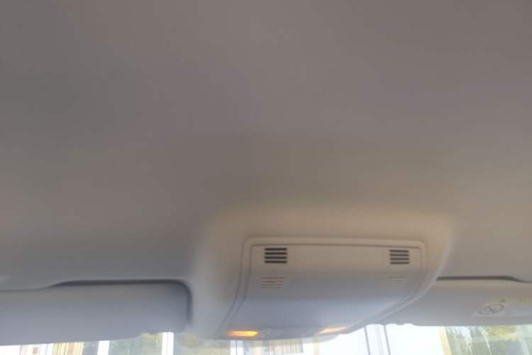 Used Volkswagen Magotan 2020 280TSI DSG Comfort Edition Headliner
