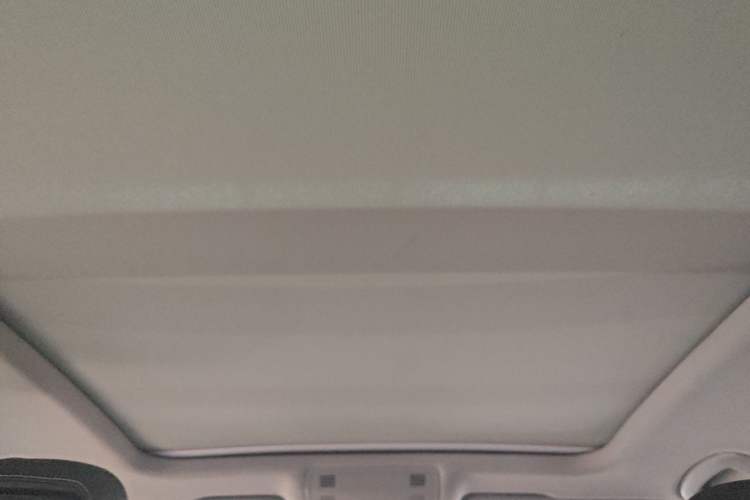 Used Volkswagen Magotan 2020 330TSI DSG Luxury Edition Headliner