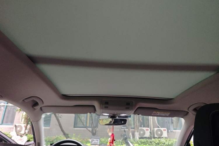 Used Volkswagen Magotan 2020 330TSI DSG Luxury Edition Headliner