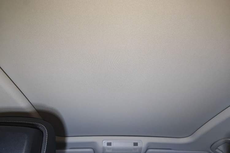 Used Volkswagen Magotan 2020 330TSI DSG Luxury Edition Headliner