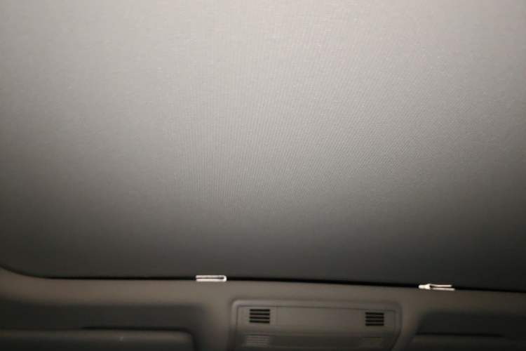Used Volkswagen Magotan 2020 330TSI DSG Luxury Edition Headliner