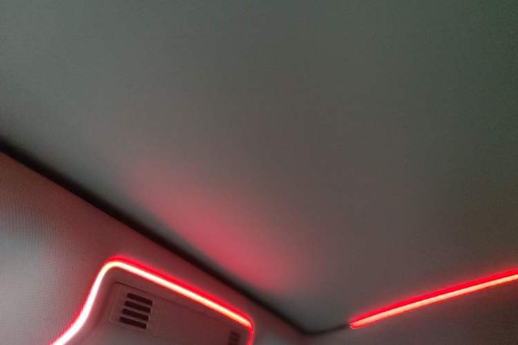 Used Volkswagen Magotan 2020 330TSI DSG Luxury Edition Headliner