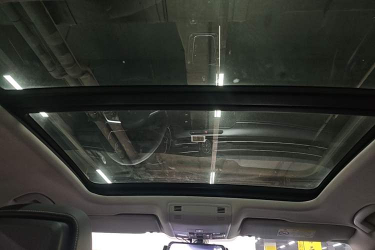 Used Volkswagen Magotan 2020 330TSI DSG Luxury Edition Headliner