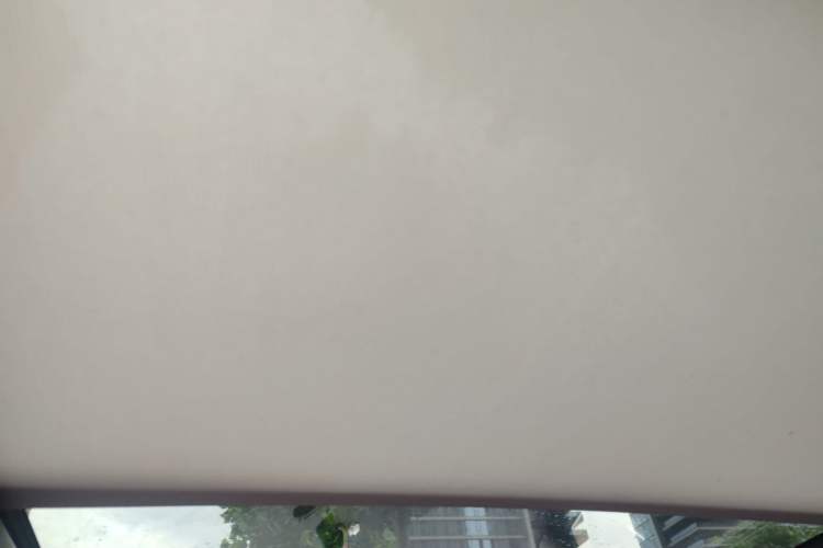 Used Volkswagen Magotan 2020 330TSI DSG Leading Model Headliner