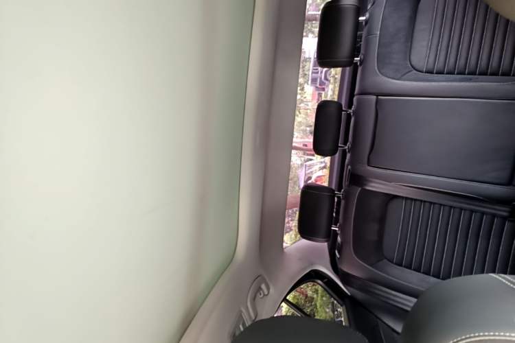 Used Volkswagen Magotan 2020 330TSI DSG Leading Model Headliner