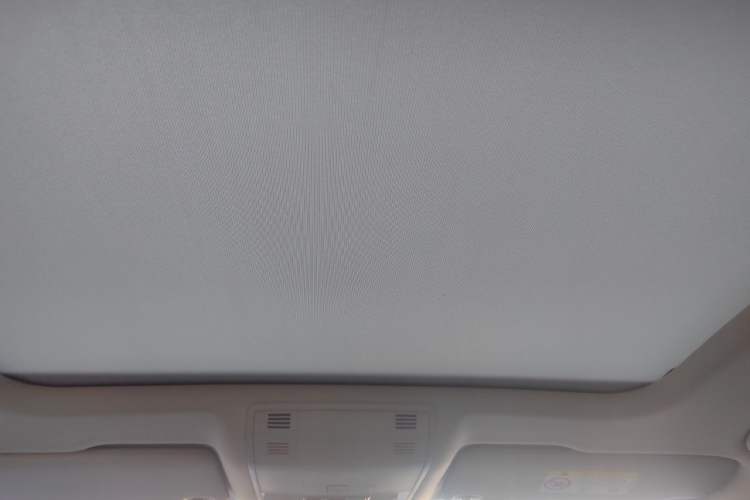 Used Volkswagen Magotan 2020 330TSI DSG Luxury Edition Headliner
