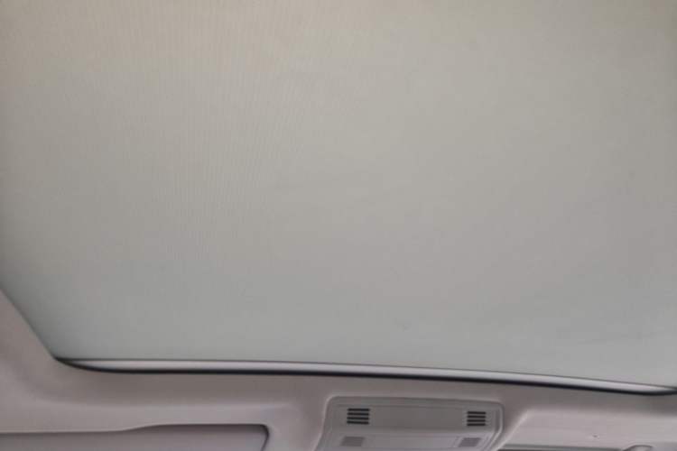 Used Volkswagen Magotan 2020 330TSI DSG Luxury Edition Headliner