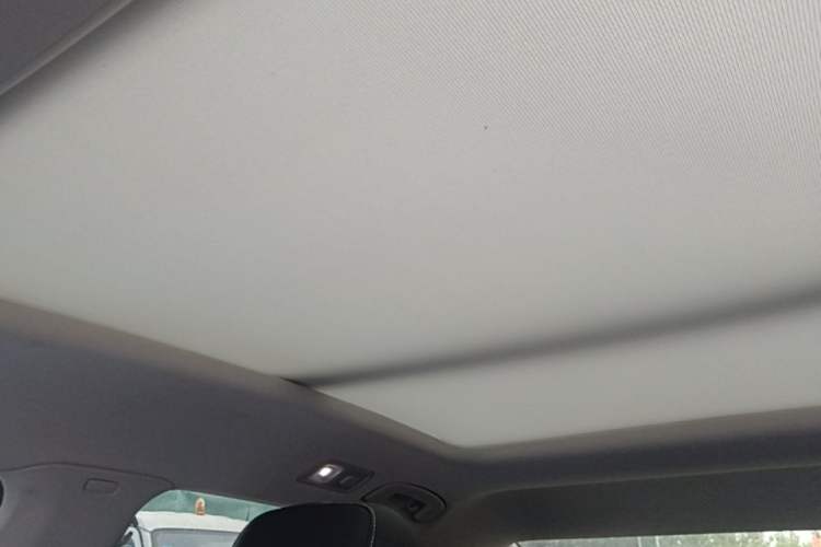 Used Volkswagen Magotan 2020 330TSI DSG Luxury Edition Headliner