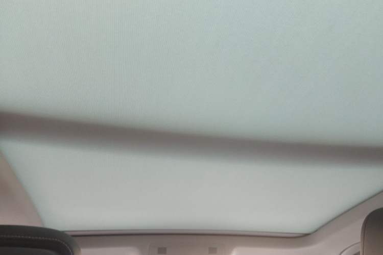 Used Volkswagen Magotan 2020 380TSI DSG Luxury Version Headliner