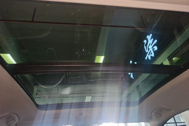 Used Volkswagen Magotan 2020 330TSI DSG Luxury Edition Headliner