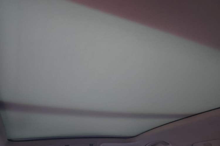 Used Volkswagen Magotan 2020 330TSI DSG Luxury Edition Headliner