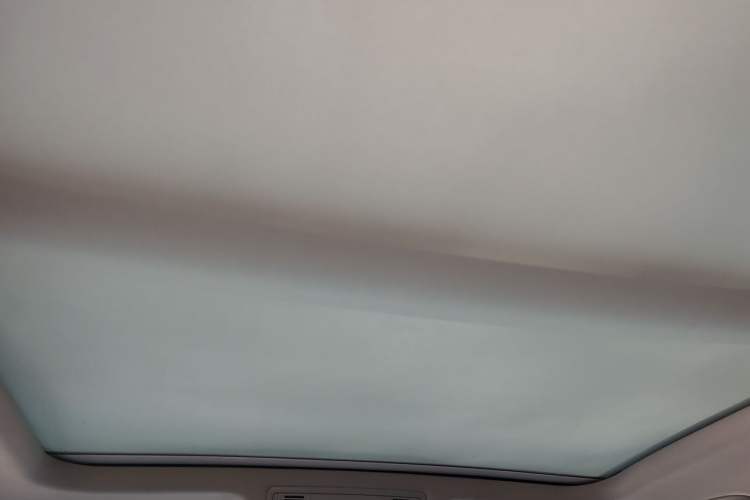 Used Volkswagen Magotan 2020 330TSI DSG Leading Model Headliner