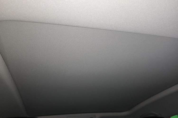 Used Volkswagen Magotan 2020 330TSI DSG Luxury Edition Headliner