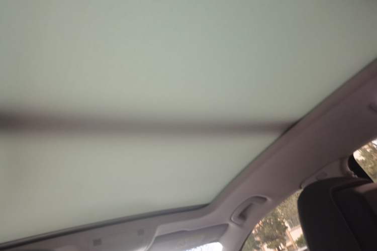 Used Volkswagen Magotan 2020 330TSI DSG Luxury Edition Headliner