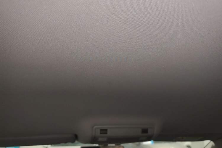 Used Volkswagen Magotan 2020 280TSI DSG Comfort Edition Headliner