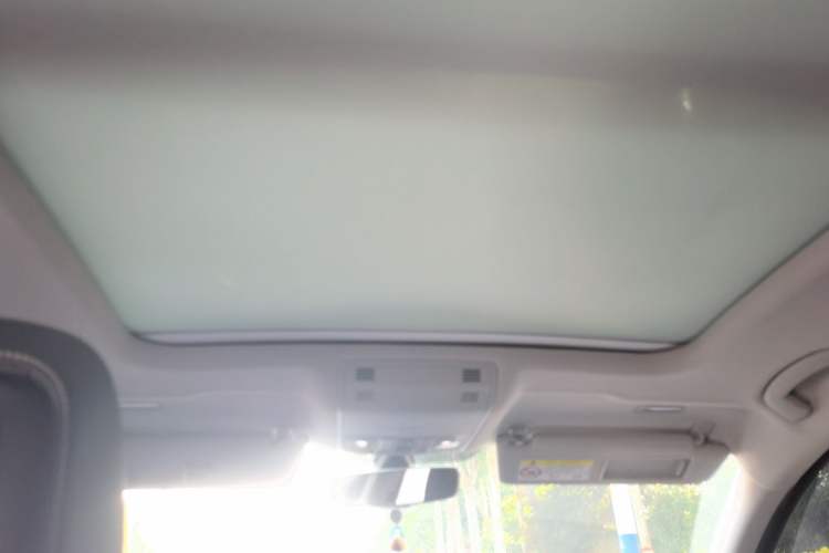 Used Volkswagen Magotan 2020 330TSI DSG Luxury Edition Headliner