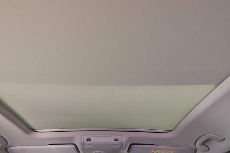 Used Volkswagen Magotan 2020 330TSI DSG Luxury Edition Headliner