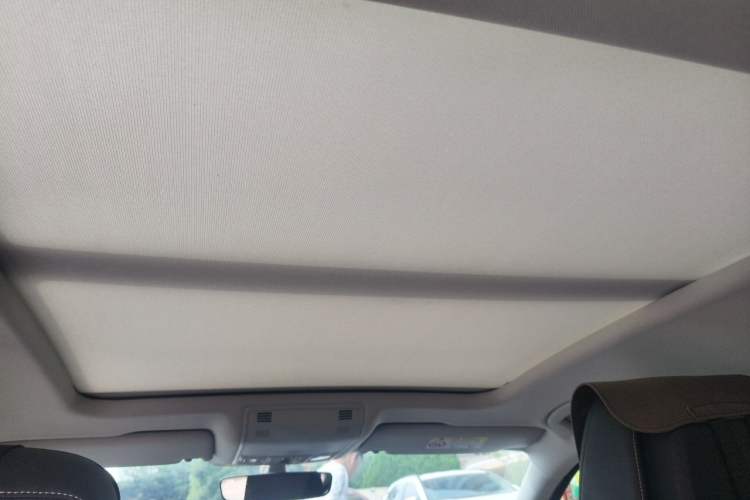 Used Volkswagen Magotan 2020 330TSI DSG Luxury Edition Headliner