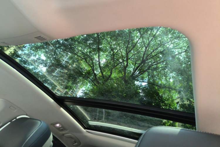 Used Volkswagen Magotan 2020 330TSI DSG Luxury Edition Headliner