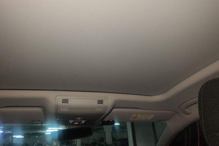 Used Volkswagen Magotan 2020 330TSI DSG Luxury Edition Headliner