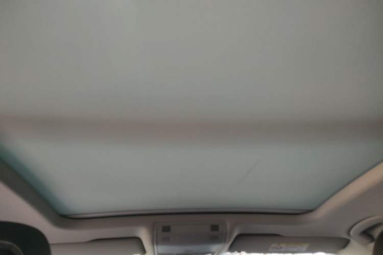 Used Volkswagen Magotan 2020 330TSI DSG Luxury Edition Headliner