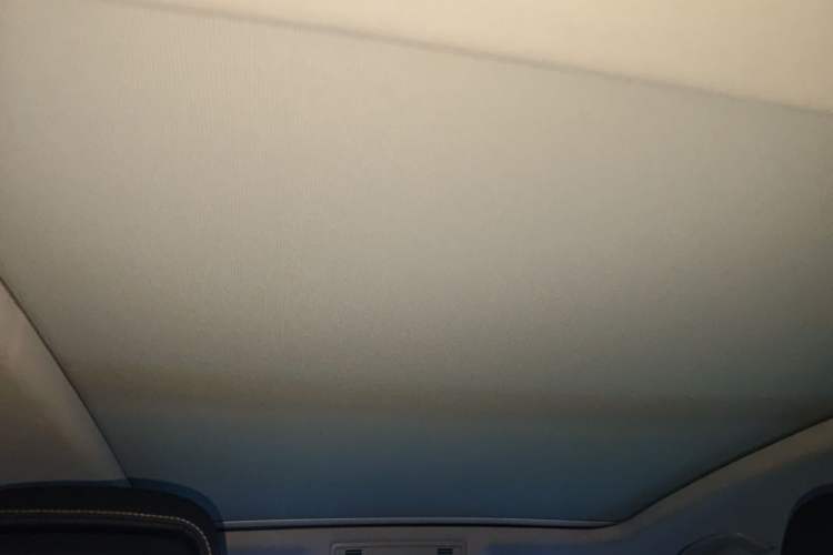 Used Volkswagen Magotan 2020 330TSI DSG Luxury Edition Headliner
