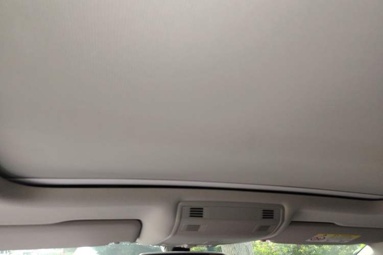 Used Volkswagen Magotan 2020 330TSI DSG Luxury Edition Headliner