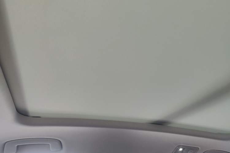 Used Volkswagen Magotan 2020 330TSI DSG Luxury Edition Headliner