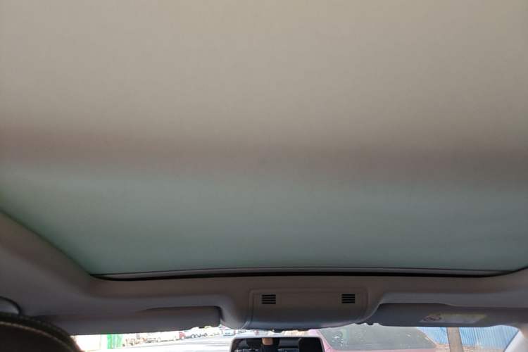 Used Volkswagen Magotan 2020 280TSI DSG Comfort Edition Headliner