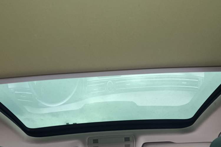 Used Volkswagen Magotan 2020 330TSI DSG Luxury Edition Headliner