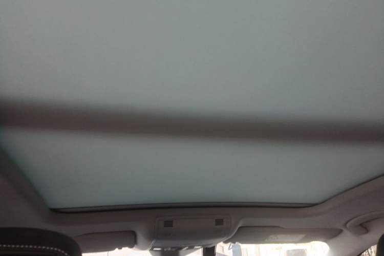 Used Volkswagen Magotan 2020 380TSI DSG Luxury Version Headliner