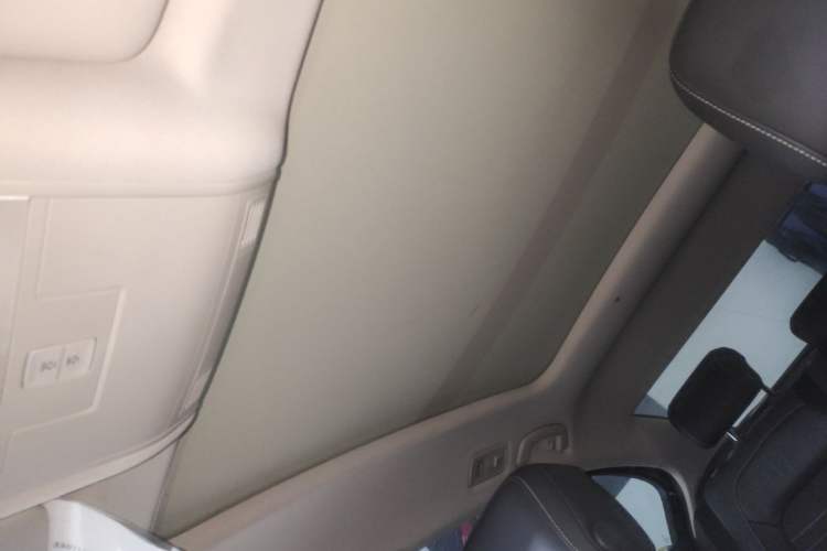 Used Volkswagen Magotan 2020 330TSI DSG Luxury Edition Headliner