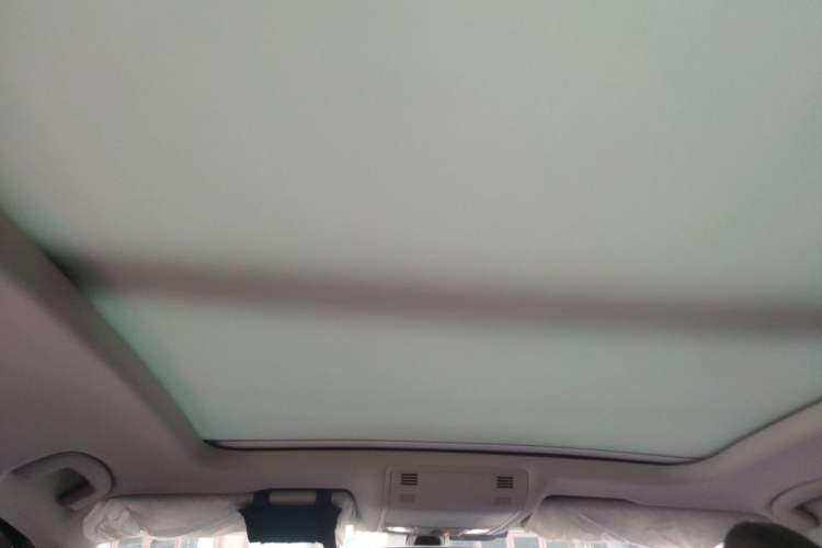 Used Volkswagen Magotan 2020 330TSI DSG Luxury Edition Headliner