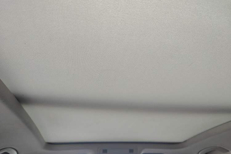 Used Volkswagen Magotan 2020 330TSI DSG Luxury Edition Headliner