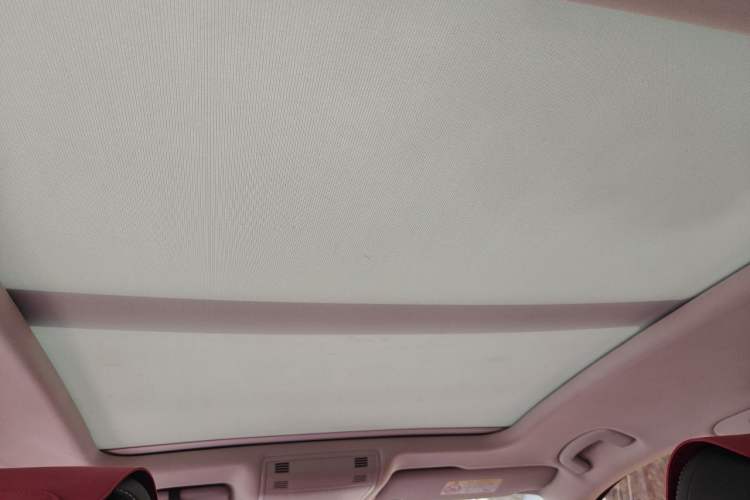 Used Volkswagen Magotan 2020 330TSI DSG Luxury Edition Headliner