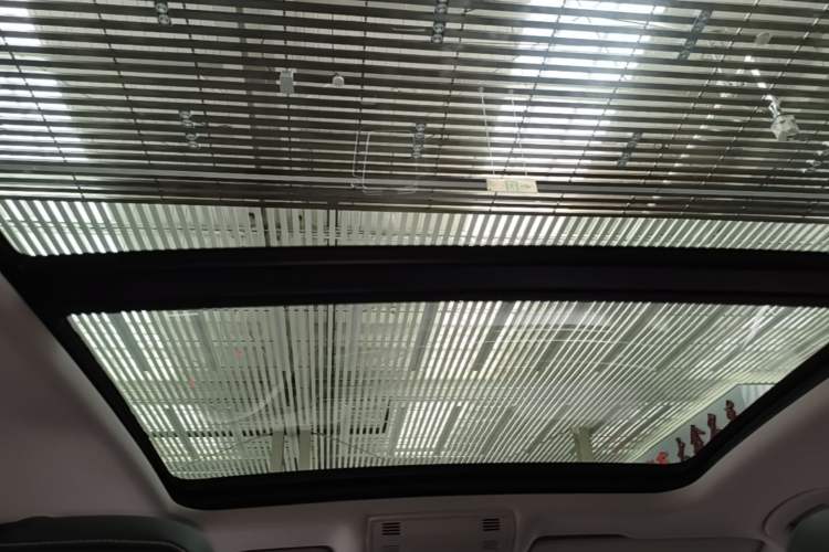 Used Volkswagen Magotan 2020 330TSI DSG Luxury Edition Headliner
