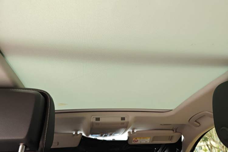 Used Volkswagen Magotan 2020 330TSI DSG Luxury Edition Headliner