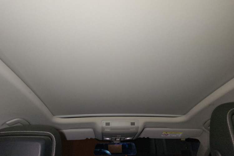 Used Volkswagen Magotan 2020 330TSI DSG Luxury Edition Headliner