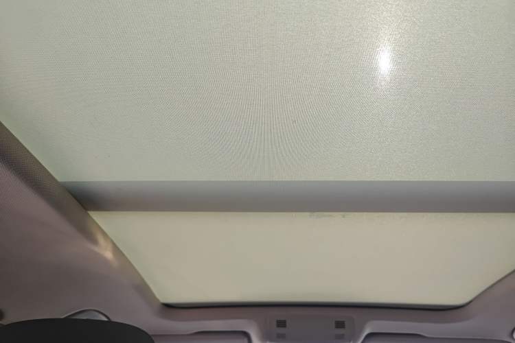 Used Volkswagen Magotan 2020 330TSI DSG Luxury Edition Headliner
