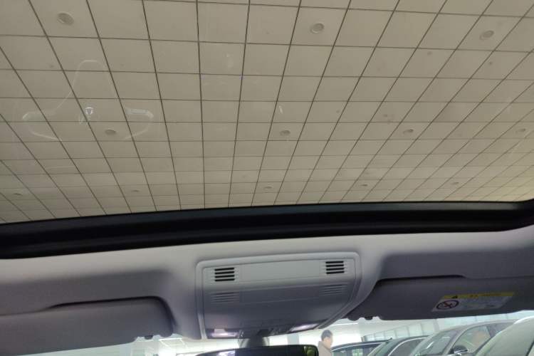 Used Volkswagen Magotan 2020 330TSI DSG Luxury Edition Headliner