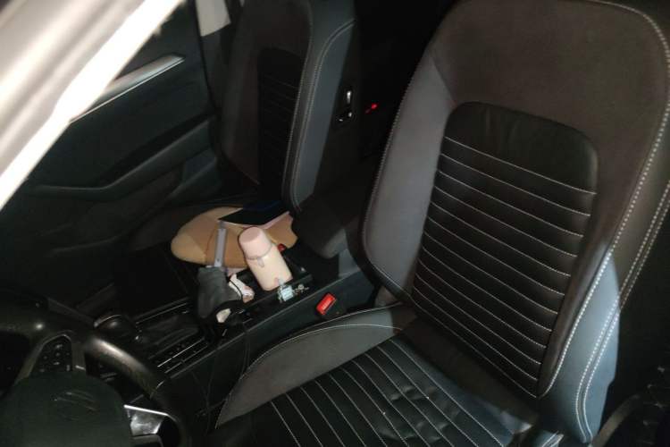 Used Volkswagen Magotan 2020 330TSI DSG Leading Model Left Front Seat