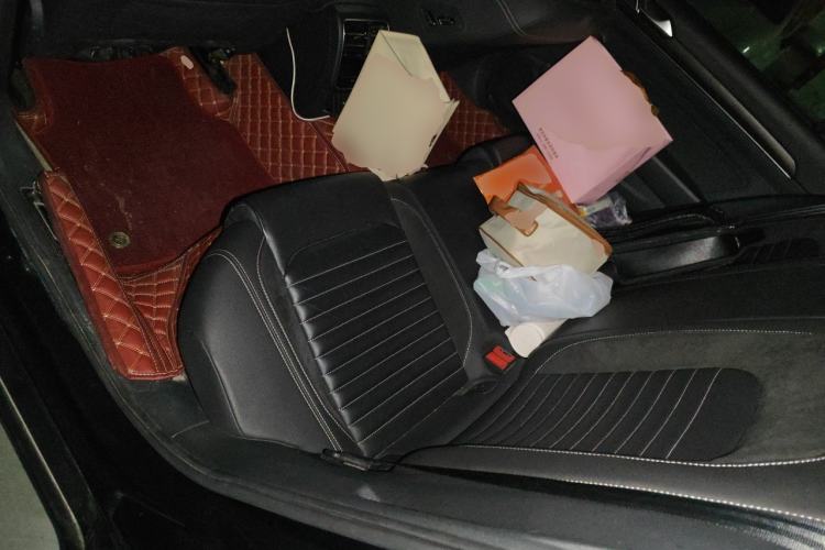 Used Volkswagen Magotan 2020 330TSI DSG Leading Model Left Rear Seat