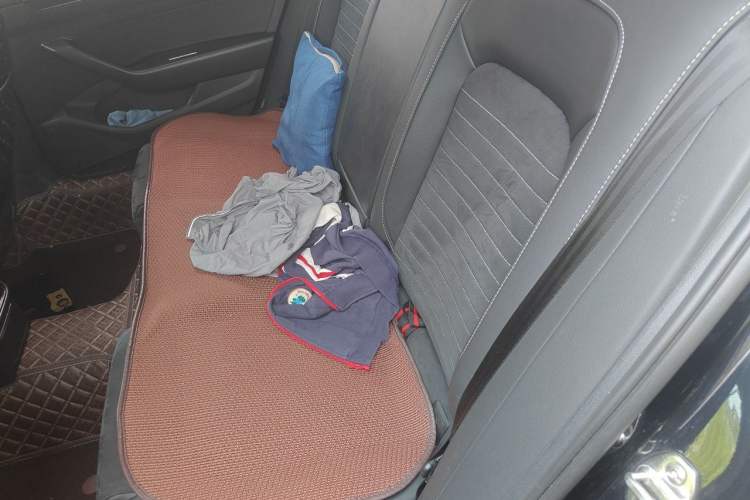 Used Volkswagen Magotan 2020 330TSI DSG Luxury Edition Left Rear Seat