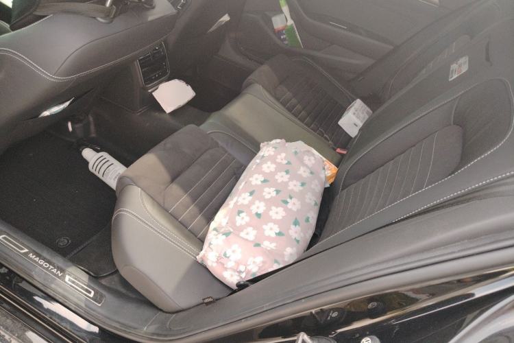 Used Volkswagen Magotan 2020 330TSI DSG Luxury Edition Left Rear Seat