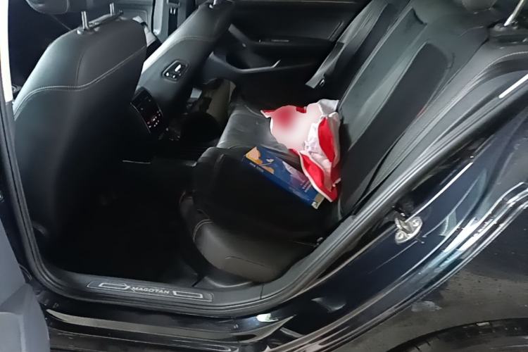 Used Volkswagen Magotan 2020 330TSI DSG Leading Model Left Rear Seat