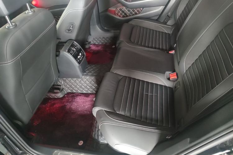Used Volkswagen Magotan 2020 330TSI DSG Luxury Edition Left Rear Seat