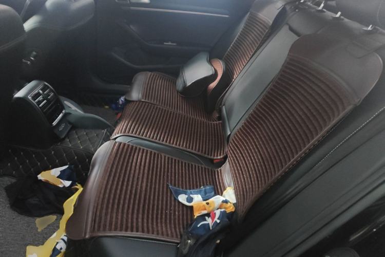 Used Volkswagen Magotan 2020 330TSI DSG Luxury Edition Left Rear Seat